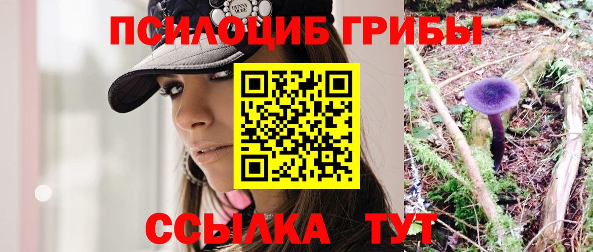 Галлюциногенные грибы мицелий  Вход с VPN  Галлюциногенные грибы мухоморы  Прохладный 